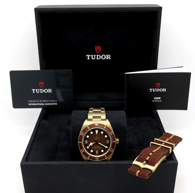 Tudor Black Bay M79012M-0001 39mm Bronze Brown 3