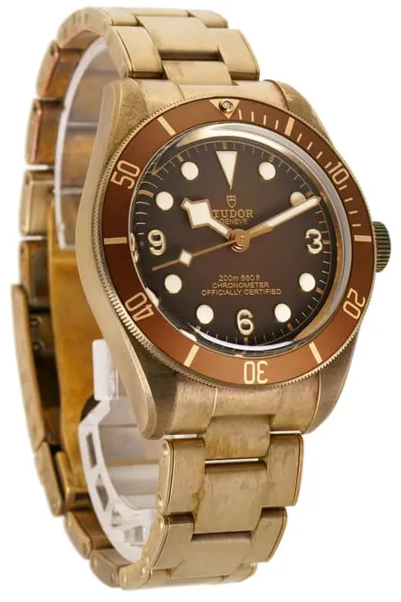 Tudor Black Bay M79012M-0001 39mm Bronze Brown 1