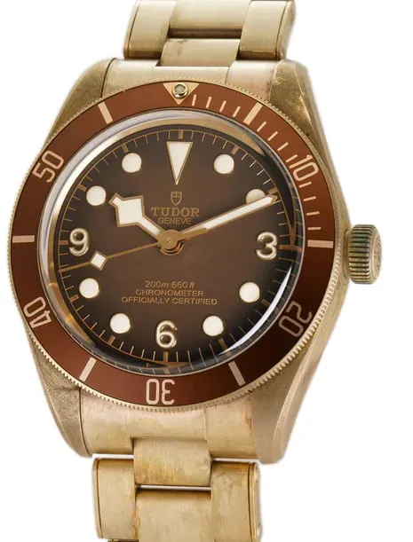 Tudor Black Bay M79012M-0001 39mm Bronze Brown 2