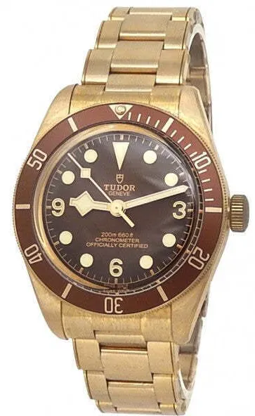 Tudor Black Bay M79012M-0001 39mm Bronze Brown