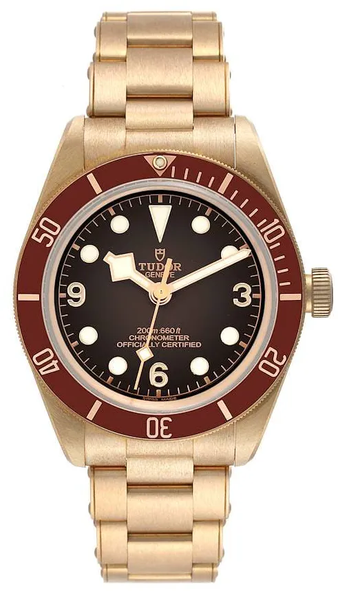 Tudor Black Bay M79012M-0001 39mm Bronze Brown