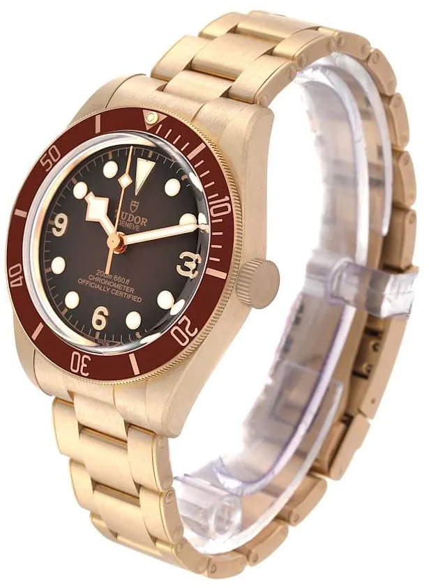 Tudor Black Bay M79012M-0001 39mm Bronze Brown 5