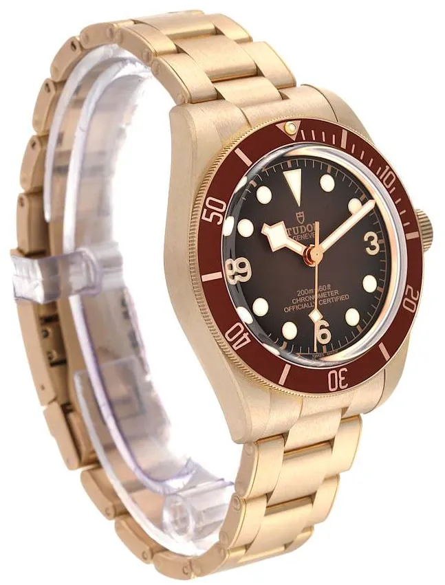 Tudor Black Bay M79012M-0001 39mm Bronze Brown 3