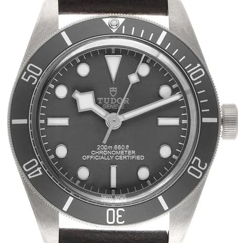 Tudor Black Bay Fifty-Eight M79010SG-0001 39mm Silver Gray