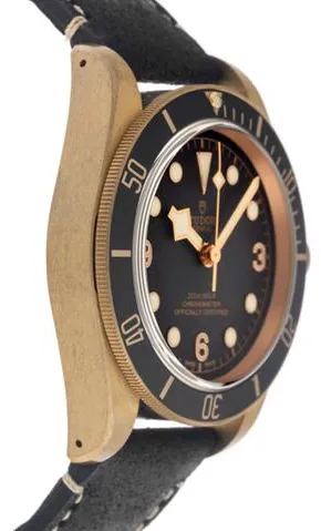 Tudor Black Bay Bronze M79250BA-0001 43mm Bronze Gray 1