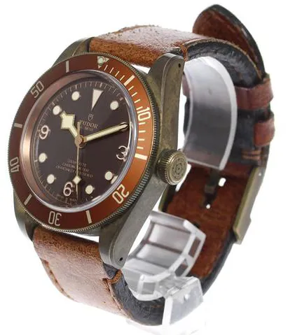 Tudor Black Bay Bronze 79250BM 43mm Bronze Brown 2