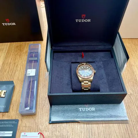 Tudor Black Bay M79012M-0001 39mm Bronze Brown 5