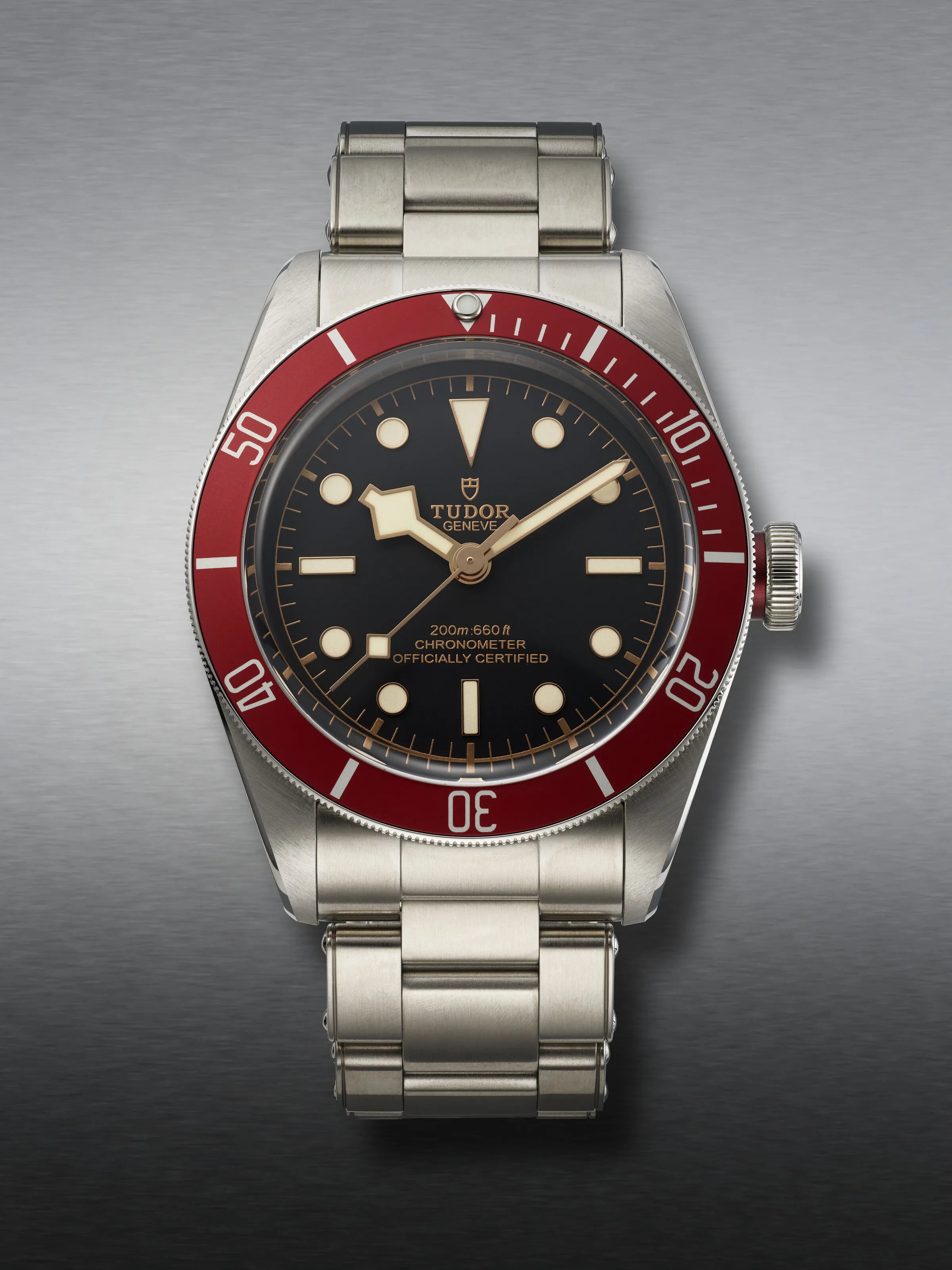 Tudor Black Bay 79230