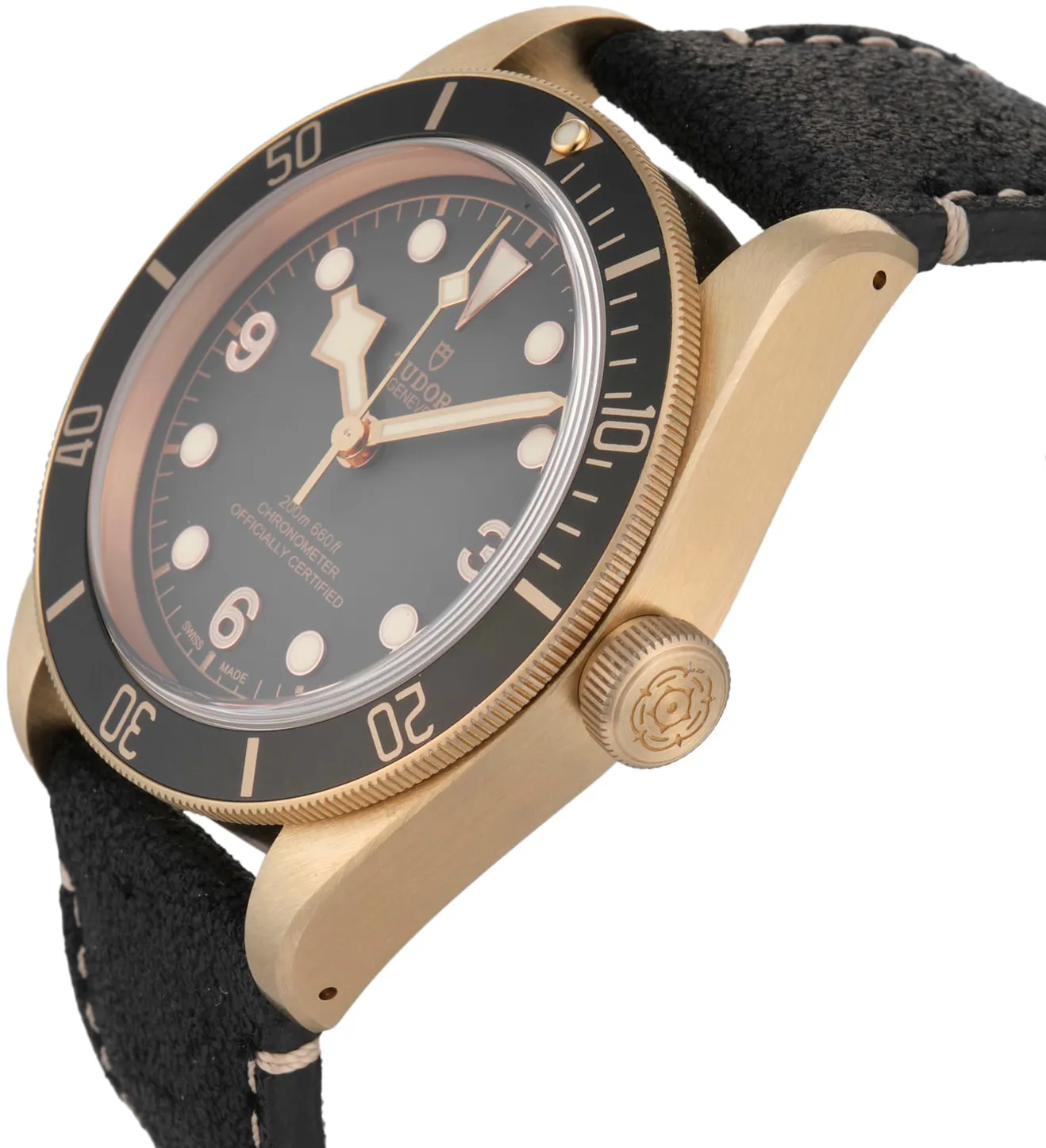 Tudor Black Bay M79250BA-0001 43mm Bronze Gray 3