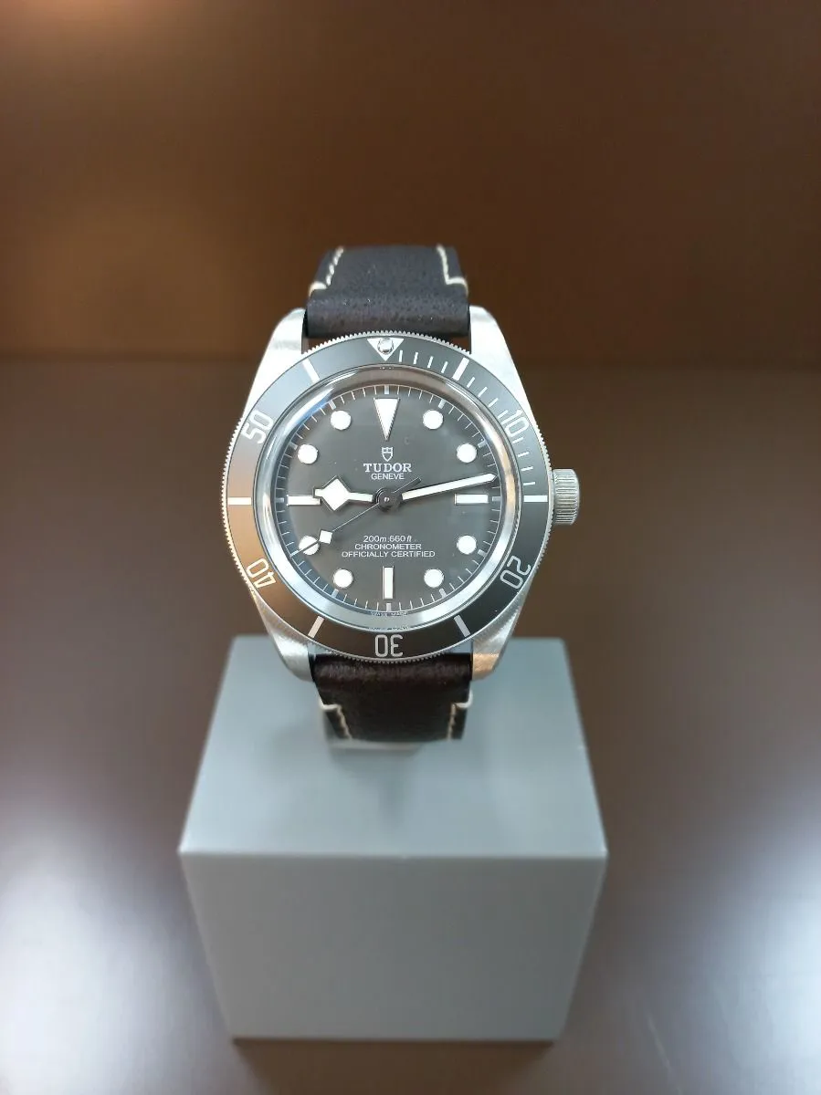 Tudor Black Bay 58 79010SG-0001 39mm Silver Gray