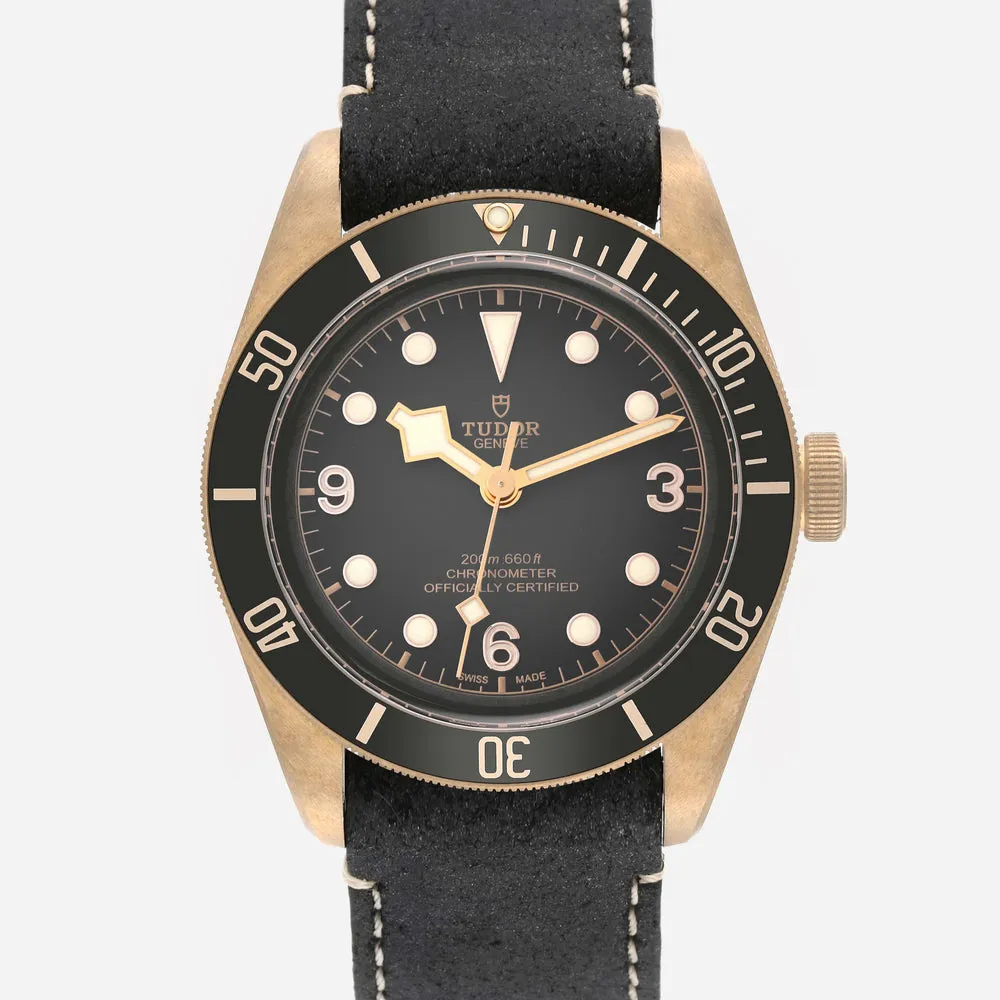 Tudor Heritage Black Bay 79250B 41mm Bronze Gray