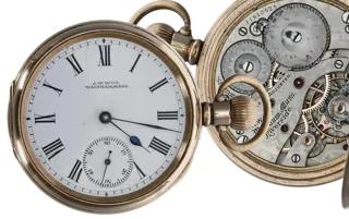 Waltham Watch Company Riverside Maximus Gold-plated