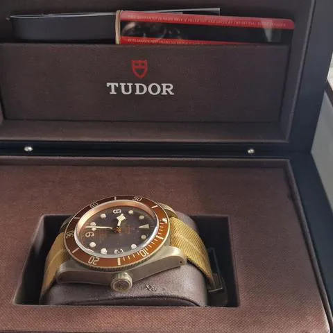 Tudor Black Bay Bronze 79250BM 43mm Bronze Brown 3