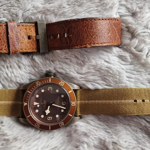 Tudor Black Bay Bronze 79250BM 43mm Bronze Brown 4