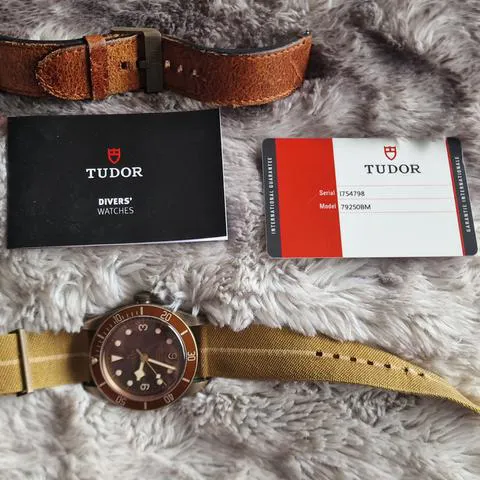 Tudor Black Bay Bronze 79250BM 43mm Bronze Brown 5