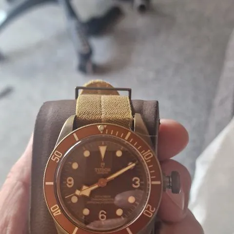 Tudor Black Bay Bronze 79250BM 43mm Bronze Brown 7