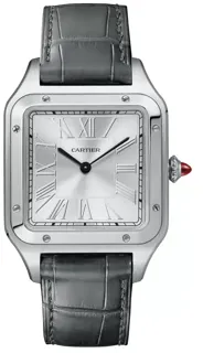 Cartier Santos de Cartier WGSA0034 Platinum Silver