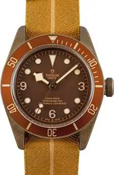 Tudor Black Bay Bronze 79250BM 43mm Bronze Bronze