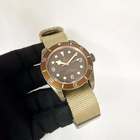 Tudor Black Bay Bronze 79250BM 43mm Bronze Brown 1