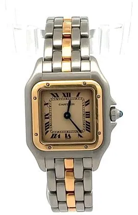 Cartier Panthère 166921 22mm Yellow gold and Stainless steel White