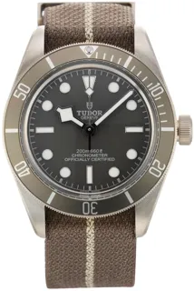 Tudor Black Bay M79010SG-0002 Silver Beige