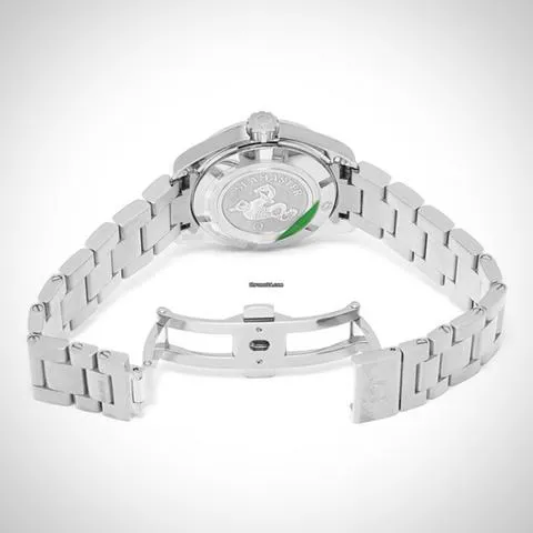 Omega Aqua Terra 231.10.30.61.02.001 30mm Stainless steel Silver 3