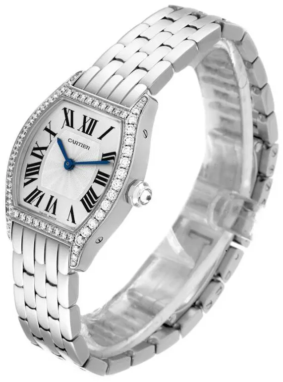 Cartier Tortue WA501011 30mm White gold Silver 2