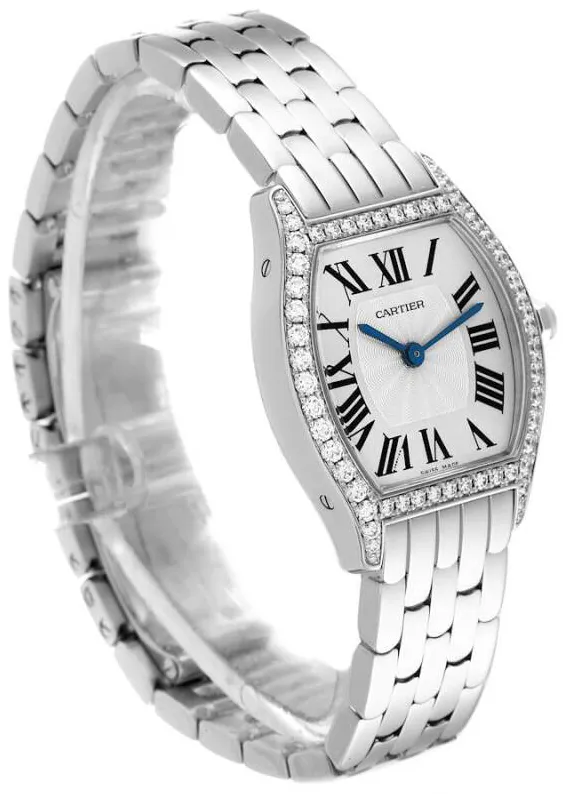 Cartier Tortue WA501011 30mm White gold Silver 3