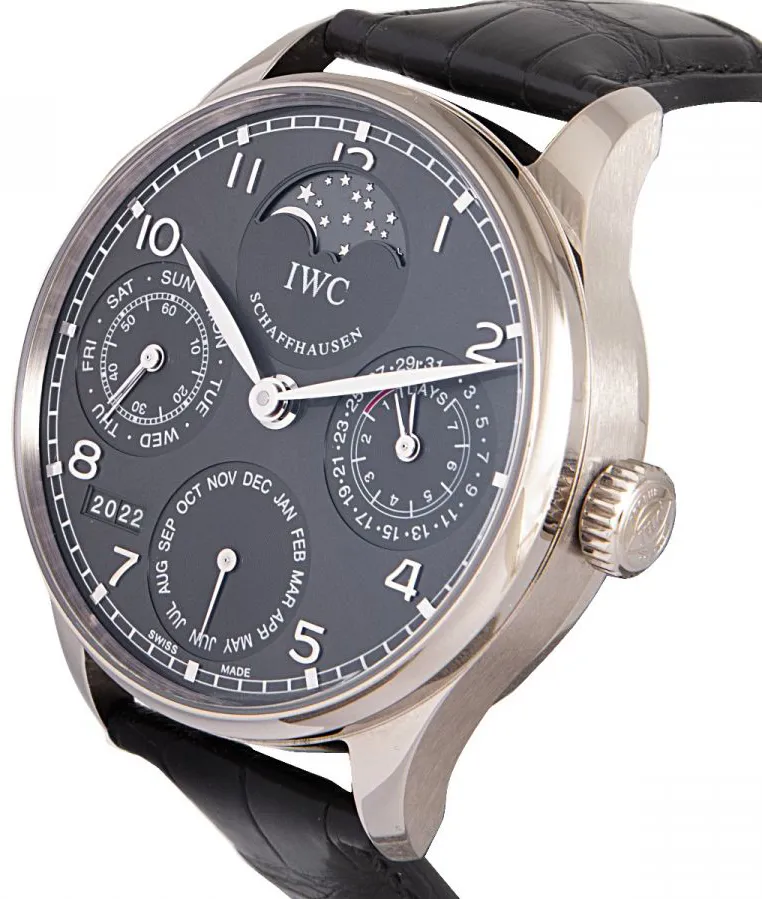 IWC Portugieser IW502218 42.5mm White gold Gray 5