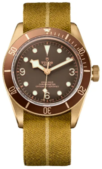 Tudor Black Bay Bronze 79250BM-0005 41mm Stainless steel Brown