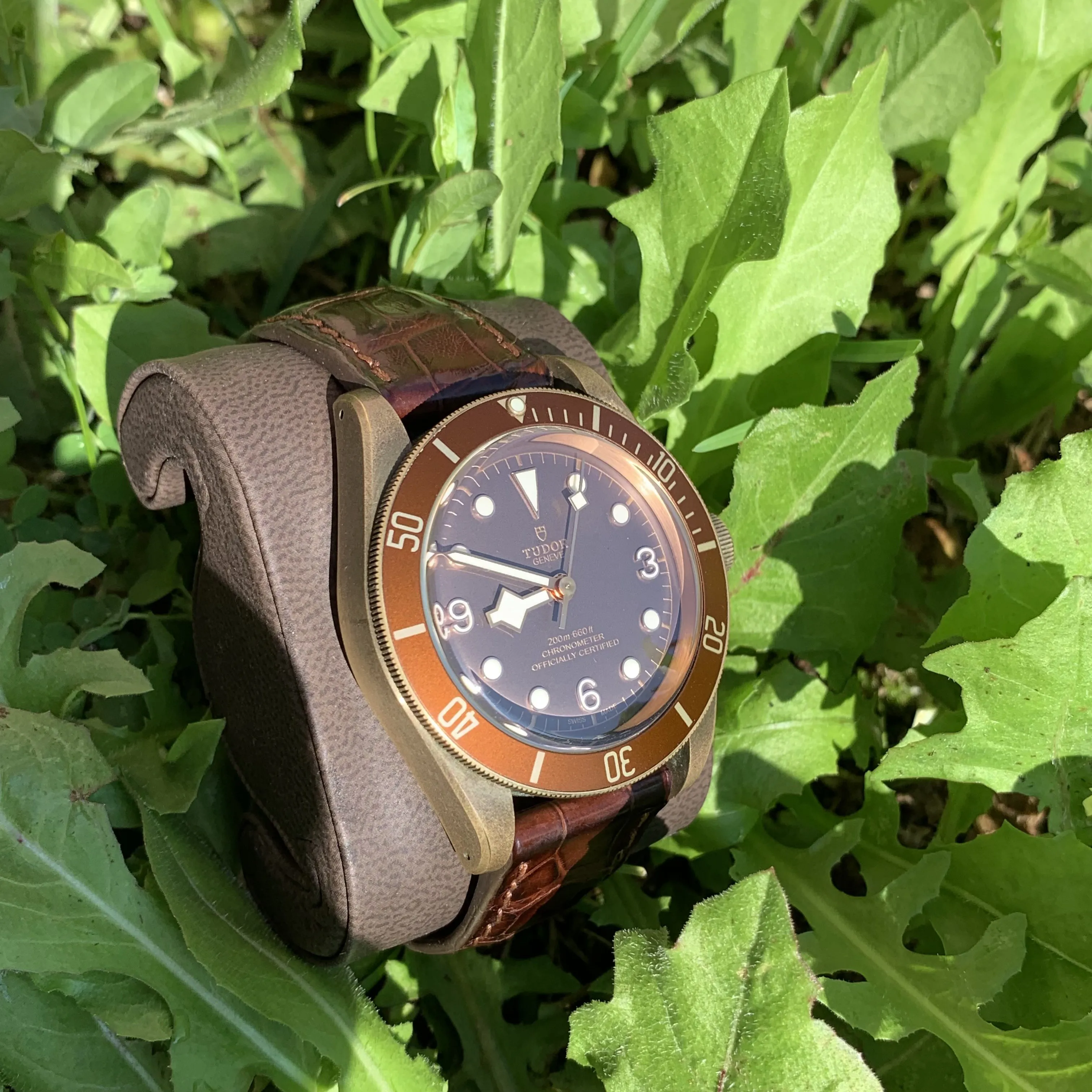 Tudor Black Bay Bronze 79250BM-0005 41mm Stainless steel Brown 1