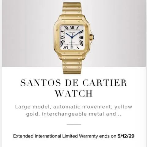 Cartier Santos WGSA0029 40mm Yellow gold Silver 4