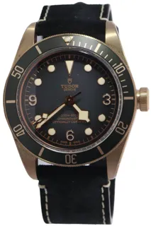 Tudor Black Bay 79250BA Bronze Gray