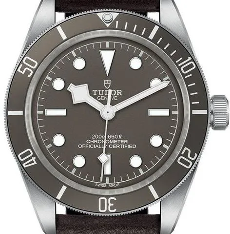 Tudor Black Bay M79010SG-0001 39mm Silver Gray