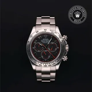 Rolex Daytona 116509-0036 White gold Black