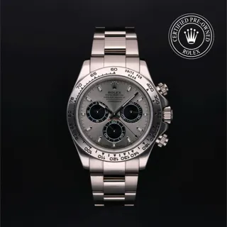 Rolex Daytona 116509-0072 White gold Silver