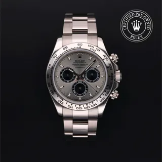 Rolex Daytona 116509 White gold