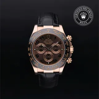 Rolex Daytona 116515LN-0004 Ceramic and Rose gold Brown