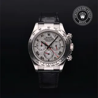 Rolex Daytona 116519 White gold Gray