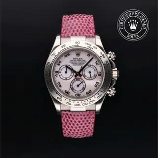 Rolex Daytona 116519 White gold Pink