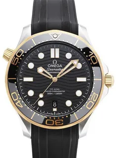 Omega Seamaster 210.22.42.20.01.001 Yellow gold Black