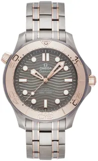 Omega Seamaster 210.60.42.20.99.001 Titanium Gray