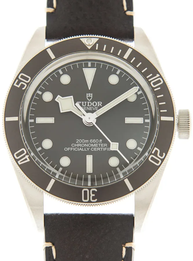 Tudor Black Bay M79010SG-0001 39mm Gray