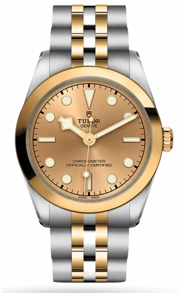 Tudor Black Bay M79603-0005 31mm Stainless steel Golden