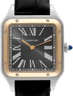 Cartier Santos W2SA0015 Stainless steel Gray