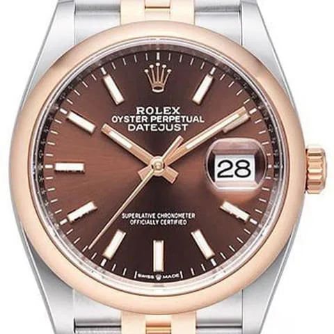 Rolex Datejust 36 126201 36mm Yellow gold and Stainless steel Brown