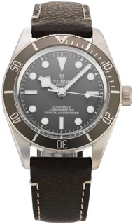 Tudor Black Bay M79010SG-0001 Silver Beige