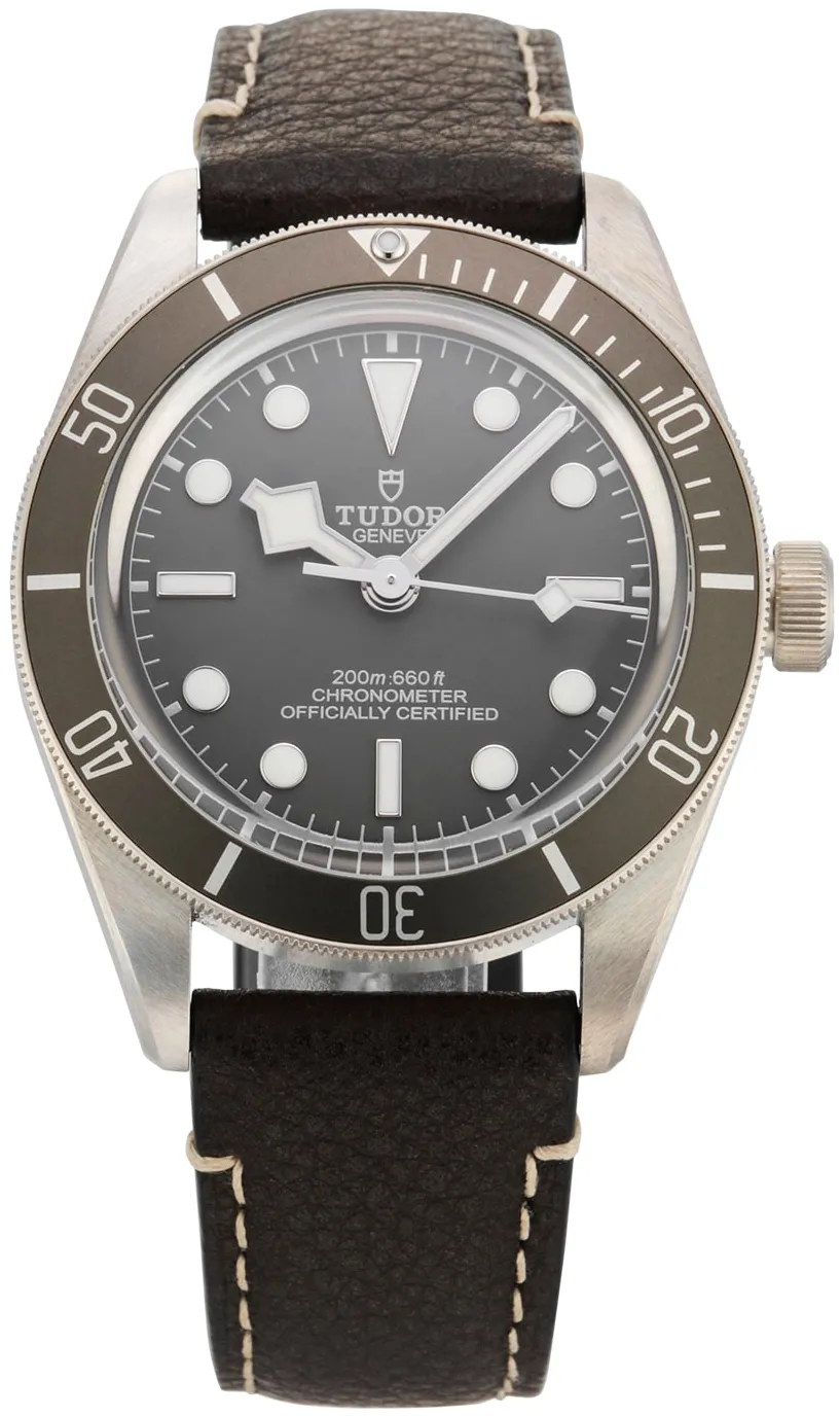 Tudor Black Bay M79010SG-0001 39mm Silver Taupe