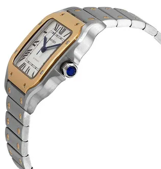 Cartier Santos W2SA0016 35mm Stainless steel Silver 3