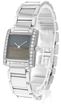 Cartier Tank Française WE1036S3 18mm White gold Tortoise 2